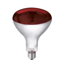 Bulb Heat Lamp 250w Red