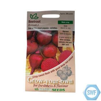 BEETROOT DETROIT 2 SEEDS BEETROOT DETROIT 2 SEEDS