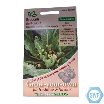 BROCCOLI SPROUTING BURBANK F1 SEEDS BROCCOLI SPROUTING BURBANK F1 SEEDS