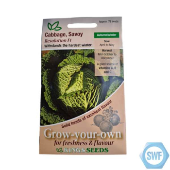 CABBAGE SAVOY RESOLUTION F1 SEEDS CABBAGE SAVOY RESOLUTION F1 SEEDS