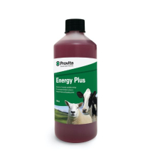 ENERGY PLUS 500ML PROVITA ENERGY PLUS 500ML PROVITA