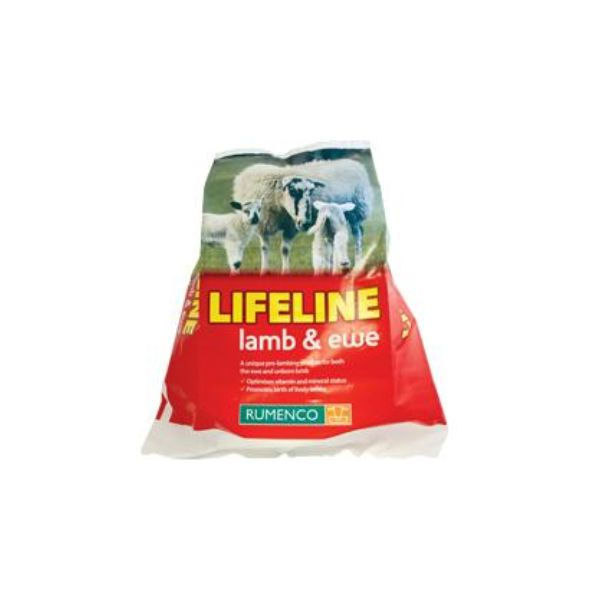 Sheep Lifeline Ewe & Lamb Block 22.5kg - Southwest Fixings