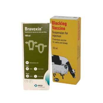 Cattle Vaccines and Injections . Call for prices & availabil Cattle Vaccines and Injections . Call for prices & availabil