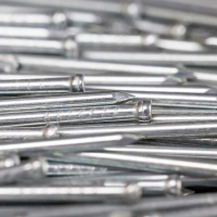 Stainless steel nails
